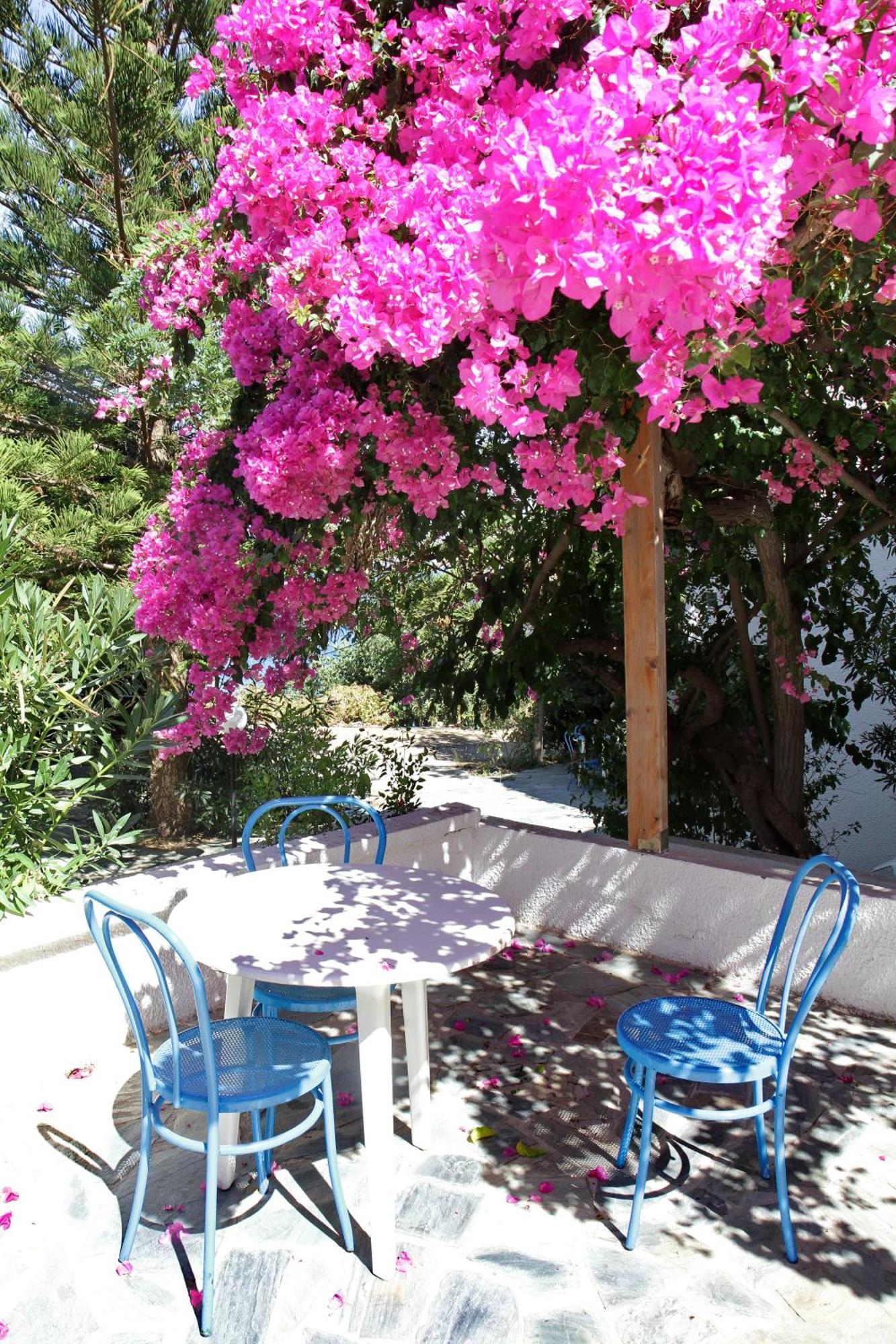 Delfini Apartments Kissamos Exterior photo