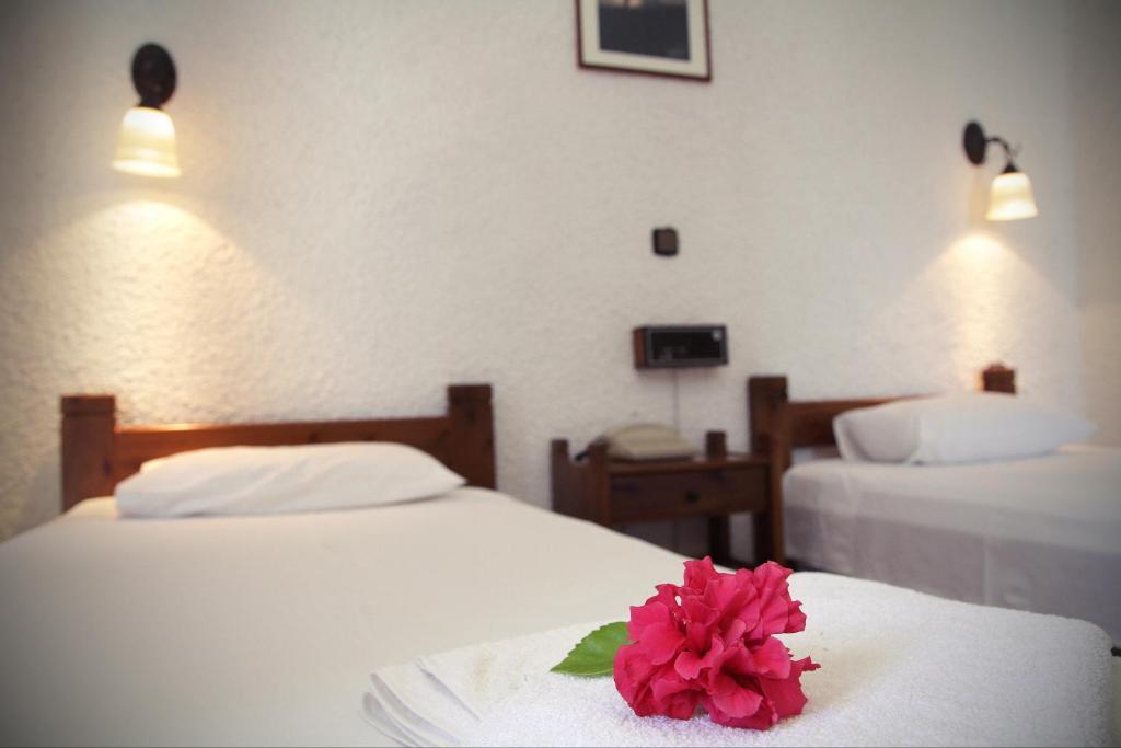 Delfini Apartments Kissamos Room photo